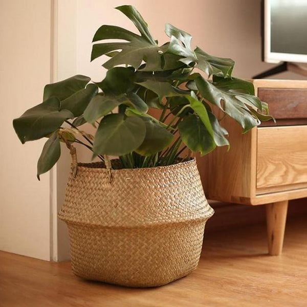 Basket Storage