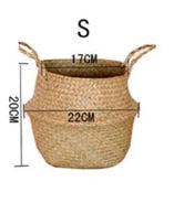 Basket Storage