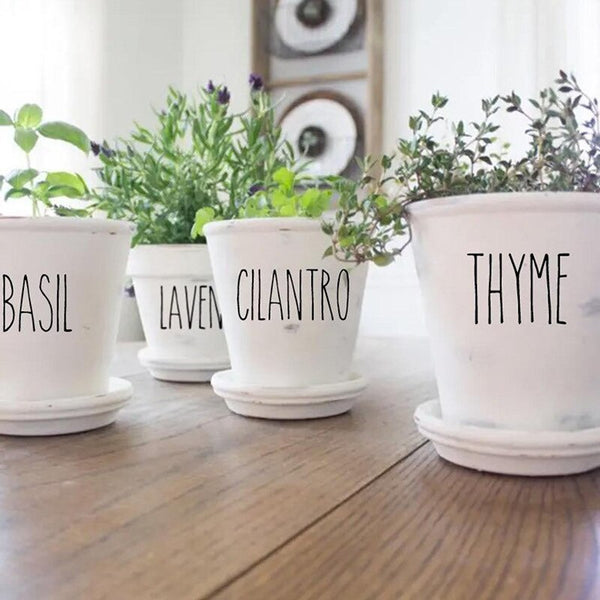 Herb Plant Pot