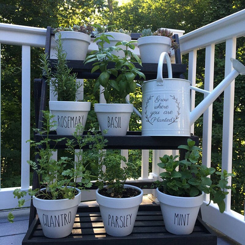 Herb Plant Pot